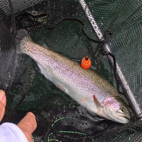 Screenshot 2026-03-13 at 7.25.02 PM