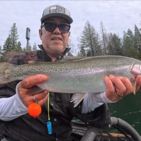 Screenshot 2026-03-13 at 7.27.59 PM