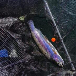 Screenshot 2026-03-15 at 10.40.29 AM