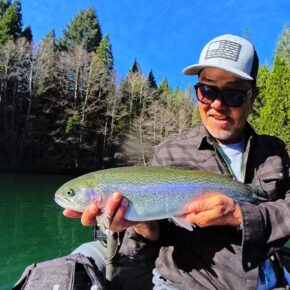 Screenshot 2026-03-15 at 11.37.31 AM