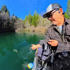 Screenshot 2026-03-15 at 11.38.32 AM